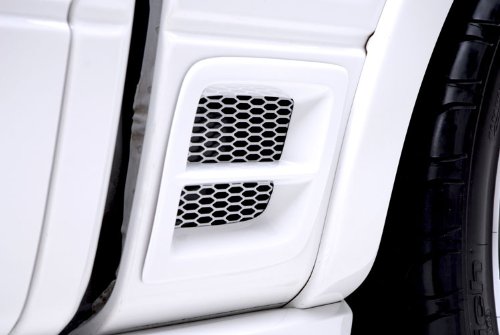 3dCarbon 2004-2008 F-150 - Rear Fender Vent w/ Grille (Pair) -- painted: White Platinum Tricoat - UG