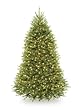 National Tree 7 1/2' Dunhill Fir Tree, Hinged, 750 Clear Lights (DUH-75LO)
