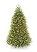 National Tree 7 1/2' Dunhill Fir Tree, Hinged, 750 Clear Lights (DUH-75LO)