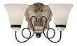 Minka Accents Provence 2 Light Bath Vanity 1292-580