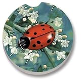 Ladybug Car Coasters - 2 Pack