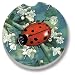 Ladybug Car Coasters - 2 Pack
