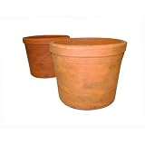 Greenhouse Collection Large Half Pots (Set of 2) by 