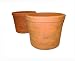 Greenhouse Collection 10-inch Large Half Pots (Set of 2)
