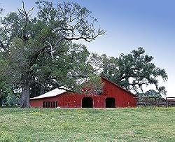 Attractive Barn in Louisiana's Cajun Country - Charming 16"x20" Photographic Print by Carol M. Highsmith