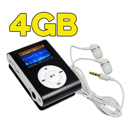 Swees 4GB Clip Mp3 player  FM radio and LCD screen 