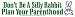 Don't be A Silly Rabbit Plan Your Parenthood. -Magnetic Bumper Sticker.