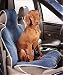 Bowser Front Car Seat Cover-Cashew Microvelvet