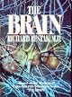 Brain, The