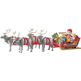 Reindeer Sleigh