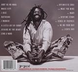 Rasta Got Soul 画像