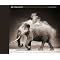 TOP WILDLIFE AND NATURE PHOTOGRAPHY BOOKS