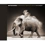 On This Earth: Photographs from East Africa