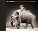 On This Earth: Photographs from East Africa