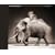On This Earth: Photographs from East Africa