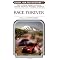 Vroooooom! Best books for car obsessed kids.