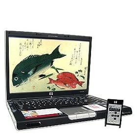 HP Compaq DV4275NR Intel Pentium M 740 1.73GHz / 802.11b/g Wireless / 15.4-Inch WXGA / 512 MB DDR / 100GB HDD / DVDRW / CDRW Combo / Windows XP Home / Notebook PC