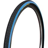 Panaracer(パナレーサー) Tourkinist W/O 700x28 ロード用タイヤ 青ライン 8W728-TKN-L4