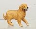 golden retriever - GOLDEN RETRIEVER by Safari, Ltd.