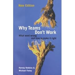 Why Teams Don't Work: What Went Wrong and How to Make It Right (Business Essentials)