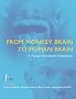 From Monkey Brain to Human Brain: A Fyssen Foundation Symposium: A Symposium of the Fyssen Foundation (Bradford Books)