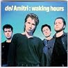 Image of Del Amitri