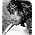 Thumbnail image of Tina Turner