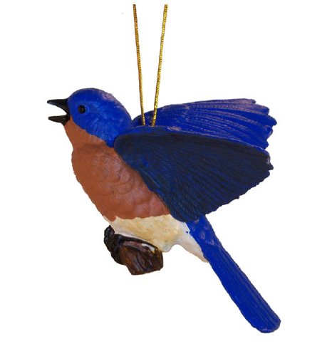 Flying Bluebird