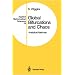 Global Bifurcations and Chaos: Analytical Methods (Applied Mathematical Sciences)