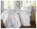 Glacier Luxurious Queen White Goose Down Comforter for Winter Comfort - 700 Fill Power