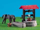 Horse And Well