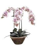 23 Inch Silk Phalaenopsis Orchid X 3 Arrangement in Oval Designer Pot - Pink