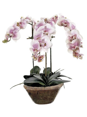 23 Inch Silk Phalaenopsis Orchid X 3 Arrangement in Oval Designer Pot - Pink