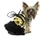 Daisy Bee Dog Costume - X-Small