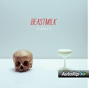 41ES7lQSRWL._SY355_PJautoripBadge,Bottom