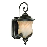 Westinghouse 69512 Byberry Two-Light Exterior Wall Lantern, Marbleized Bronze Finish with Champagne Mist Globe