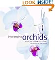 Introducing Orchids