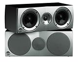 Athena C.5 Center Channel Speaker (Silver/Black)