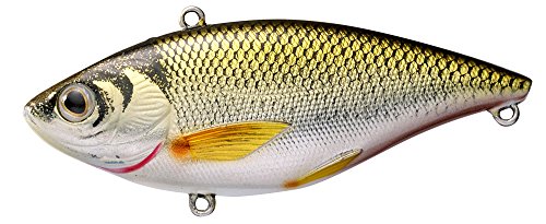 LIVE TARGETLive Target Gs 70 Sk Golden Shiner Lipless Rattlebait 27 8 ' 6 Hook