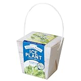 ���i�̏ڍ�