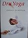 Dru Yoga - Energy in Motion Level 1