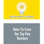 How To Care for Toy Fox Terriers