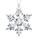 Swarovski 2010 Annual Ornament