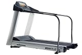 Motus USA M995TLG Treadmill with Fully Extending Handrails and Fully Integrated Samsung LCD TV