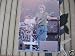 Autographed Mike Gordon Photo - 8x10 Phish - Autographed MLB Photos