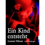 Ein Kind entsteht