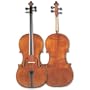 Franz Werner Concert Cello