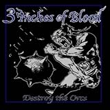 Destroy the Orcs
