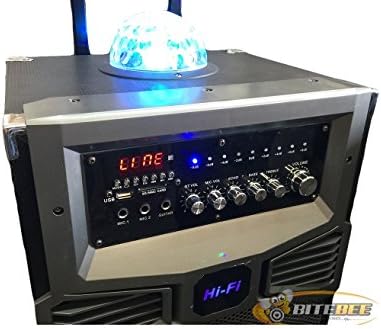 DJ-HYBRID 4300W 2x12" Trolley Speaker USB/SD/FM/MP3/WMA/2 BAND EQ/BLUETOOTH