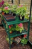41ESh18amlL. SL160  Halls Greenhouse Shelf 4Ft Two Tier Bench Green